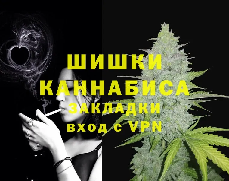 Бошки марихуана THC 21%  купить   Кашин 